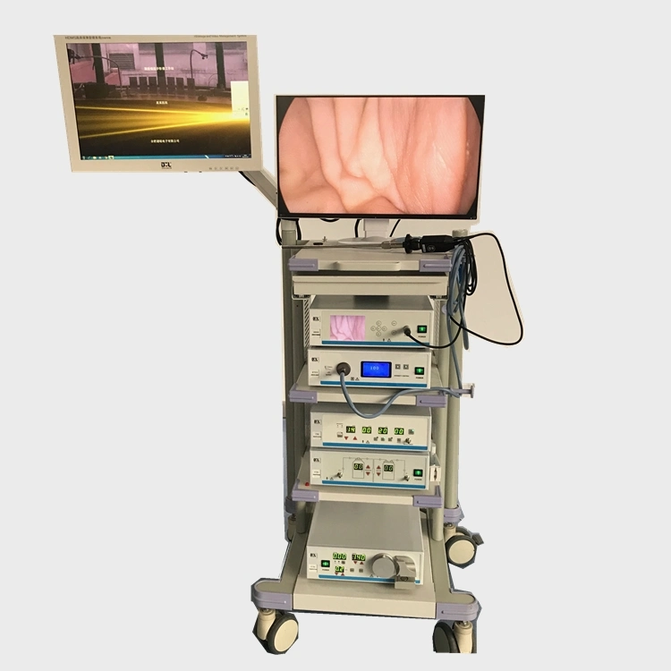Mt Medical Affordable Gastroscope Conoloscope Integrated Video Endoscope System