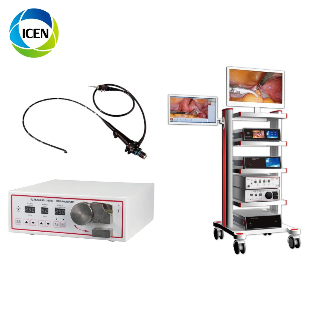 in-P007 China Portable Medical Rigid Endoscope Video Colonoscope Gastroscope System