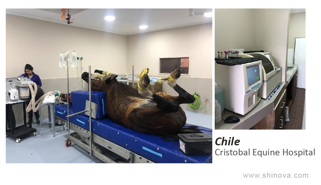 Veterinary Equipment Veterinary Rigid Endoscope-Cystoscope (T0219)