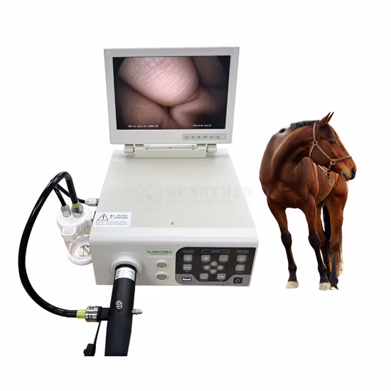 1080P All in One Portable Endoscope Complete HD Endoscopic Camera System