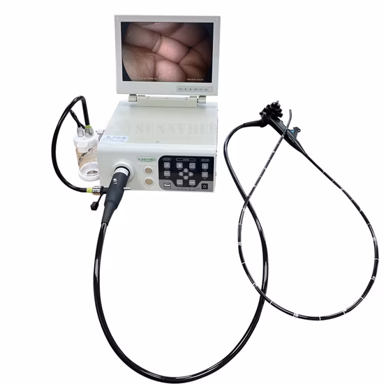 1080P All in One Portable Endoscope Complete HD Endoscopic Camera System