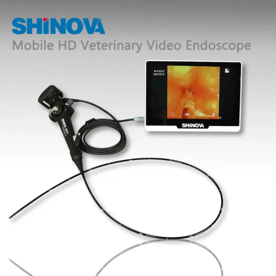 Veterinary Equipment Veterinary Rigid Endoscope